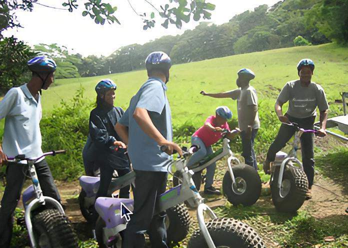 Permis AM Martinique